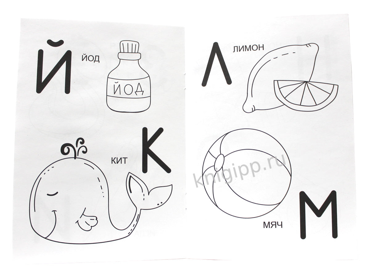 РАСКРАСКА А5 эконом. АЗБУКА