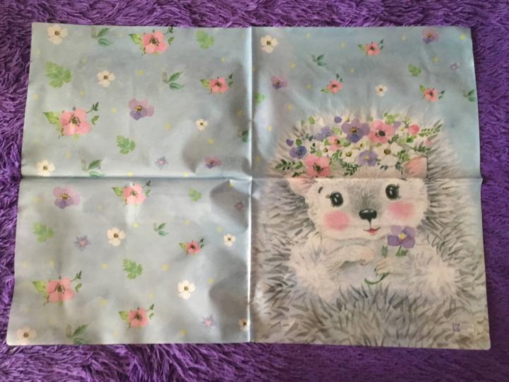 Пленка цв. д/уроков труда Еж,51143