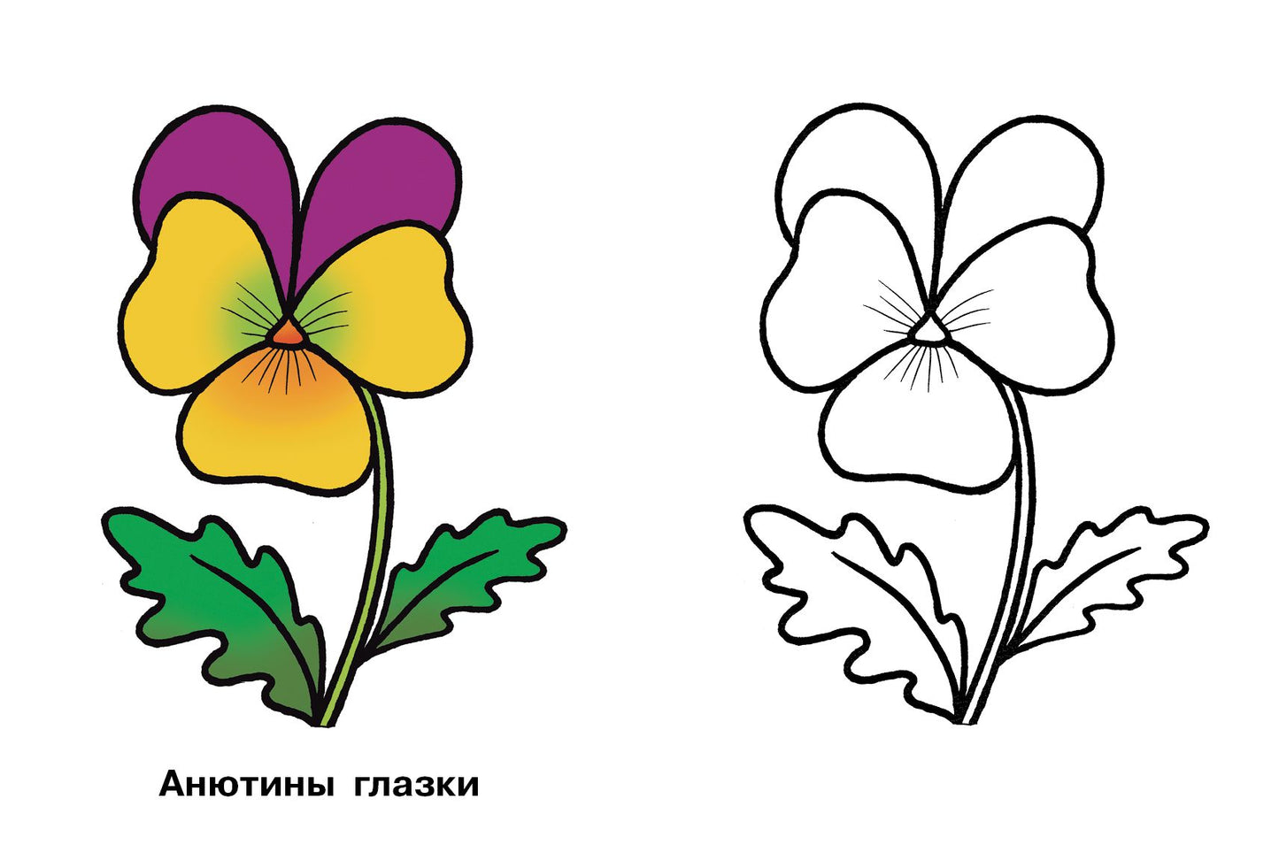 Раскраска. Цветы. 2-4 года