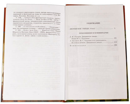 ШБ Тургенев. Дворянское гнездо