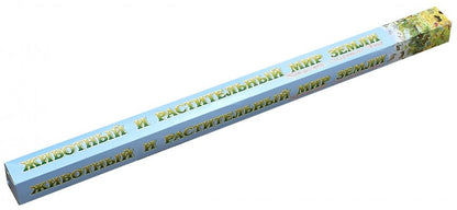 Животный и растительный мир Земли
