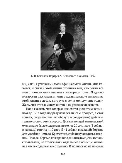 Собаки в городах. Жизнь собак в истории, искусстве и обществе