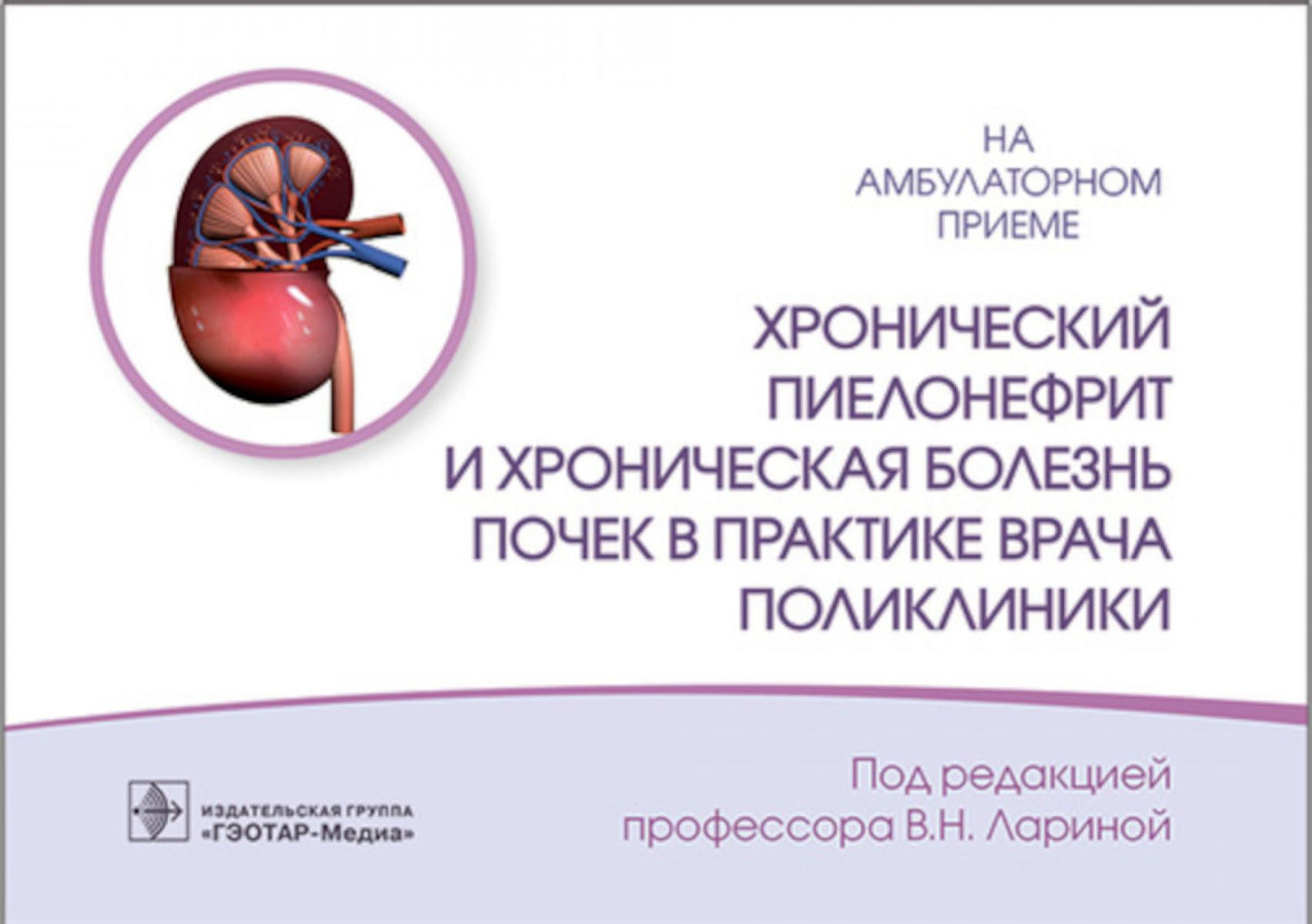 Хронический пиелонефрит и хроническая болезнь почек в практике врача поликлиники / под ред. В. Н. Лариной. — Москва : ГЭОТАР-Медиа, 2023. — 144 с. : ил. — (Серия «На амбулаторном приеме»).