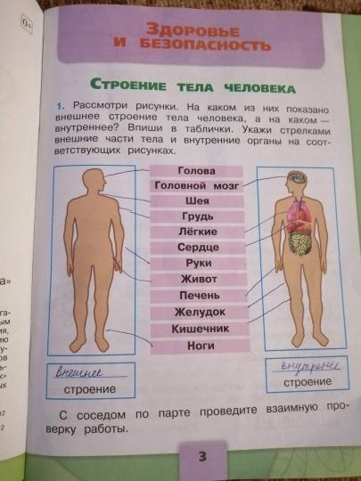 Плешаков (Школа России) Окружающий мир 2 кл. Рабочая тетрадь ч.1 (ФП2019 "ИП") (Просв.)