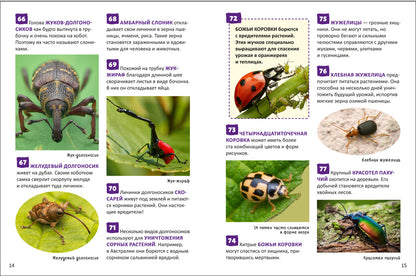 Насекомые. Энциклопедия российского школьника