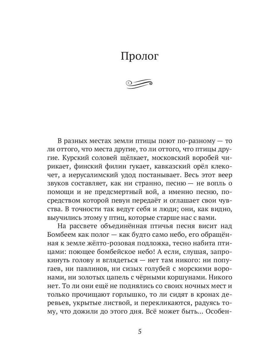 Махатма (вольные фантазии из жизни самого неизвестного человека): роман