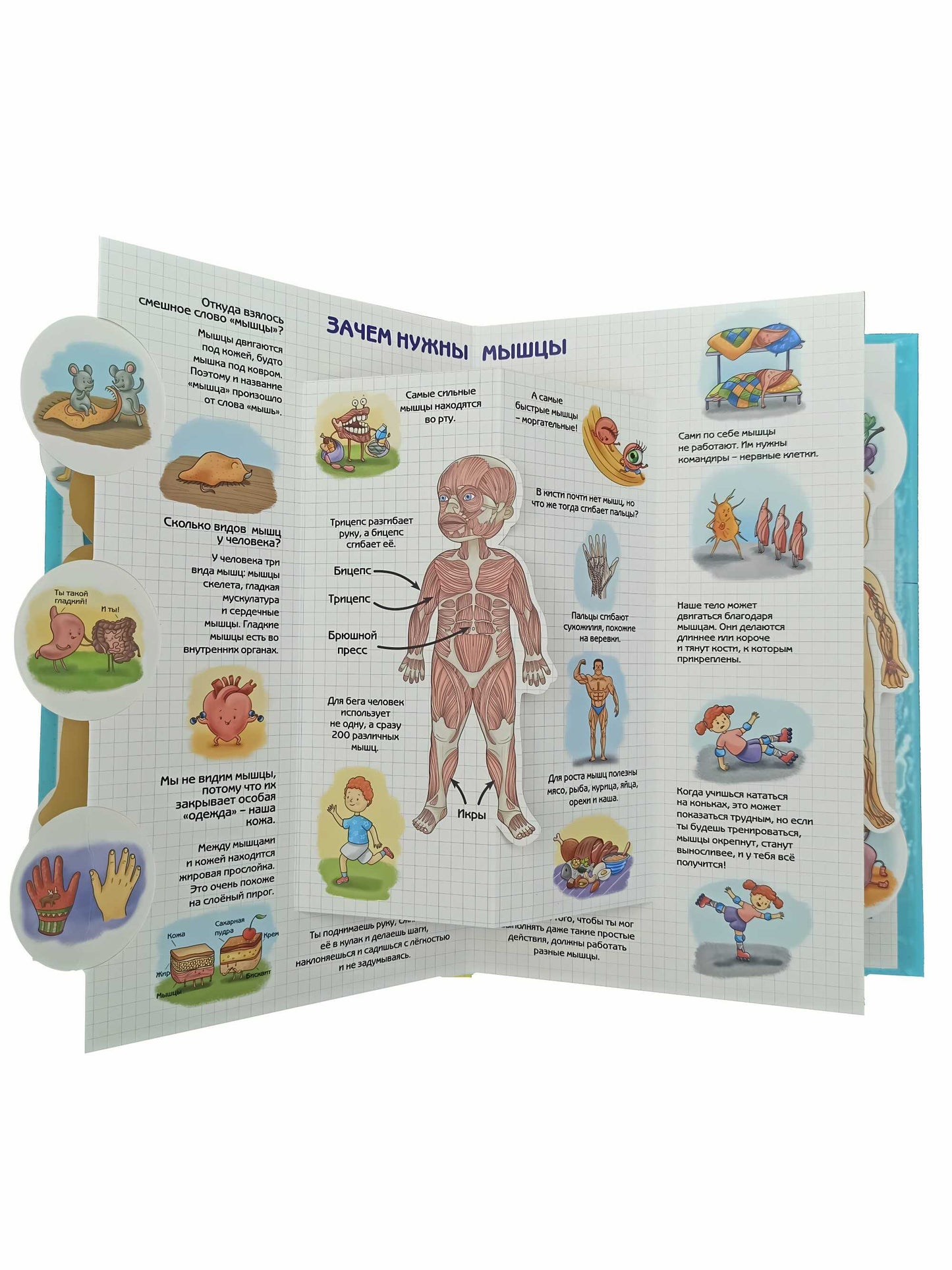 Энциклопедия 3Д СЕКРЕТЫ ЧЕЛОВЕКА твёрдый