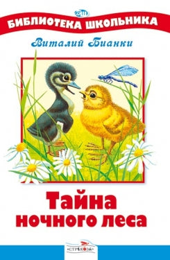 БШ. Тайна ночного леса
