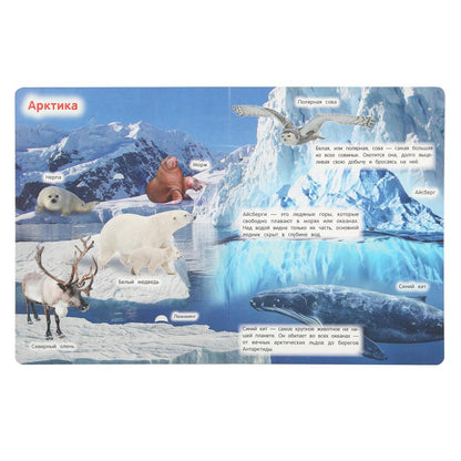 Животные. 50 окошек для малышей. 200х260 мм. 10 картонных страниц. Умка в кор.50шт