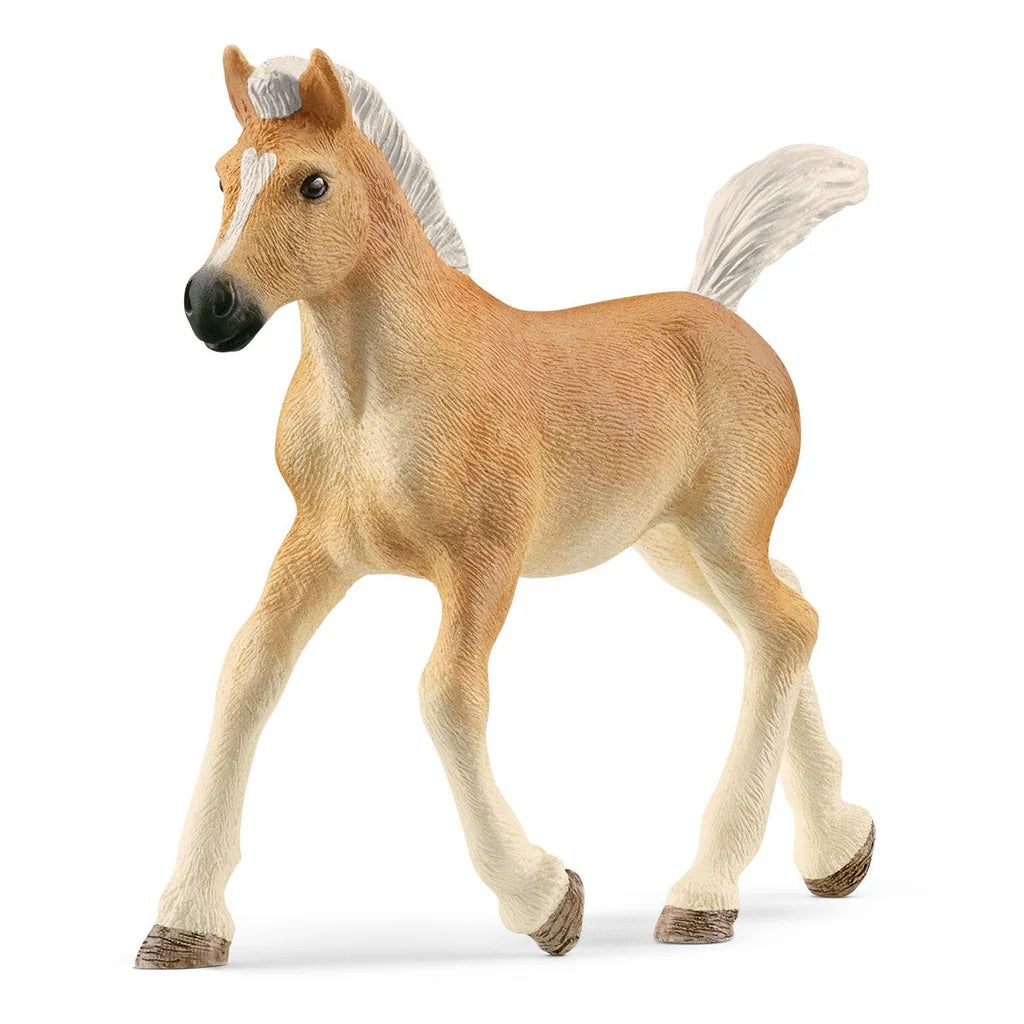 Schleich. Фигурка "Жеребенок Хафлингер" арт.13951