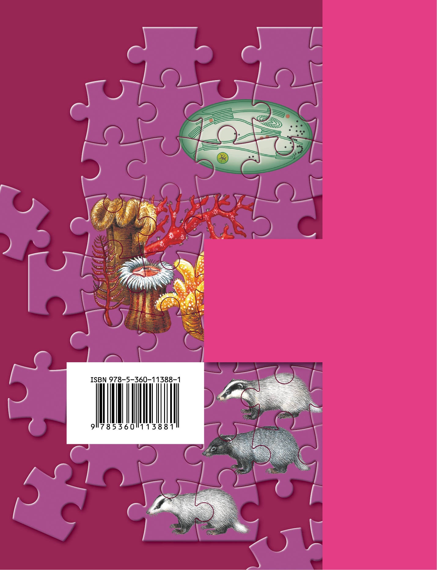 Биология. 9 класс. Учебник.