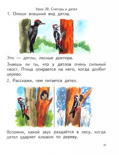 Мир природы и человека 2 класс. Учебник для общеобразовательных организаций, реализующих ФГОС образования обучающихся с умственной отсталостью (интеллектуальными нарушениями)