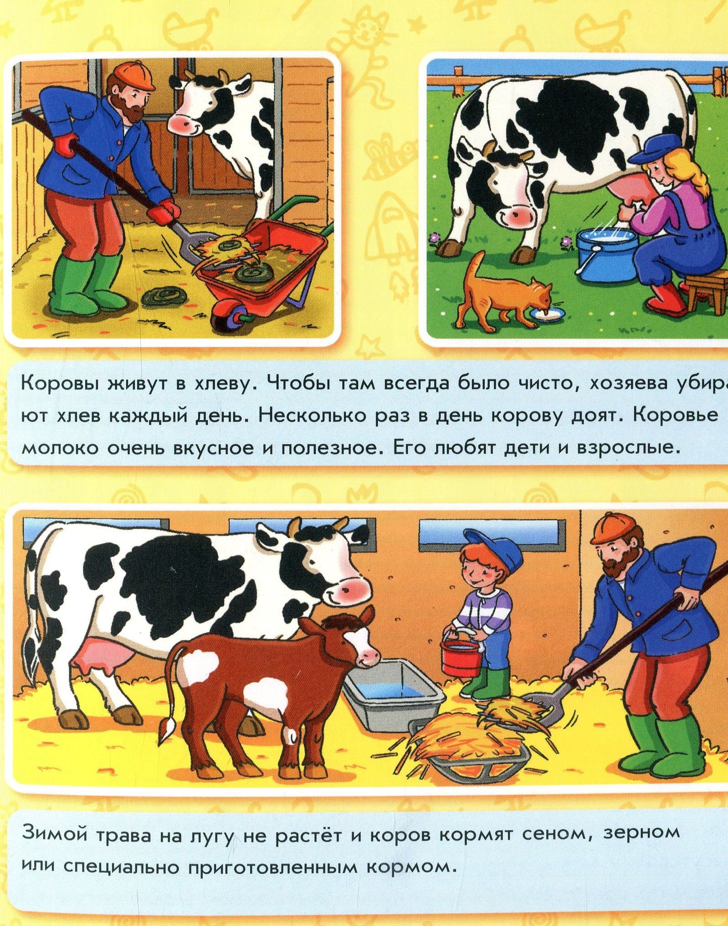 Енциклопедія в картинках: Животные на ферме (р)
