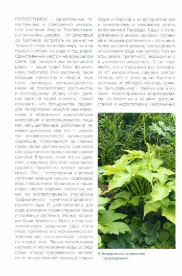 Что делать осенью и зимой, чтобы ваш сад процветал. Лирический справочник