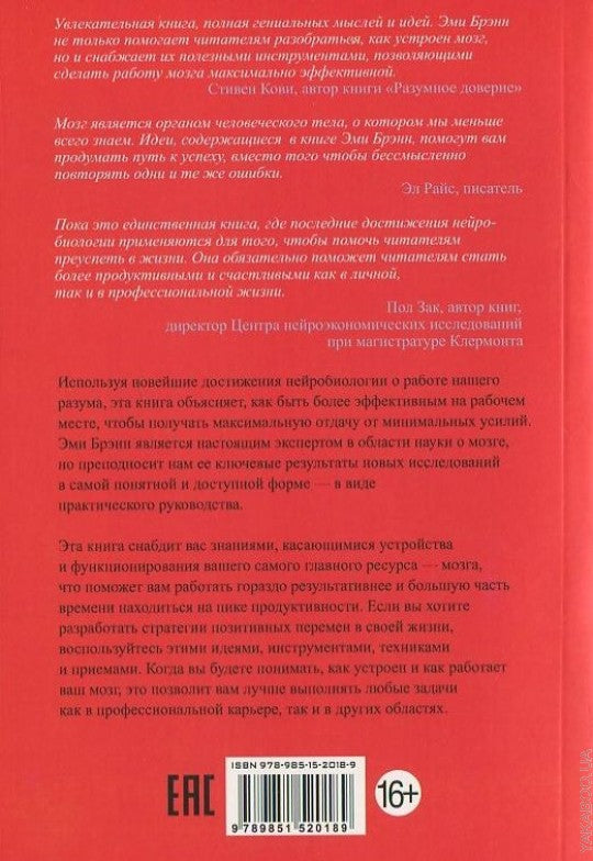 Заставь свой мозг работать