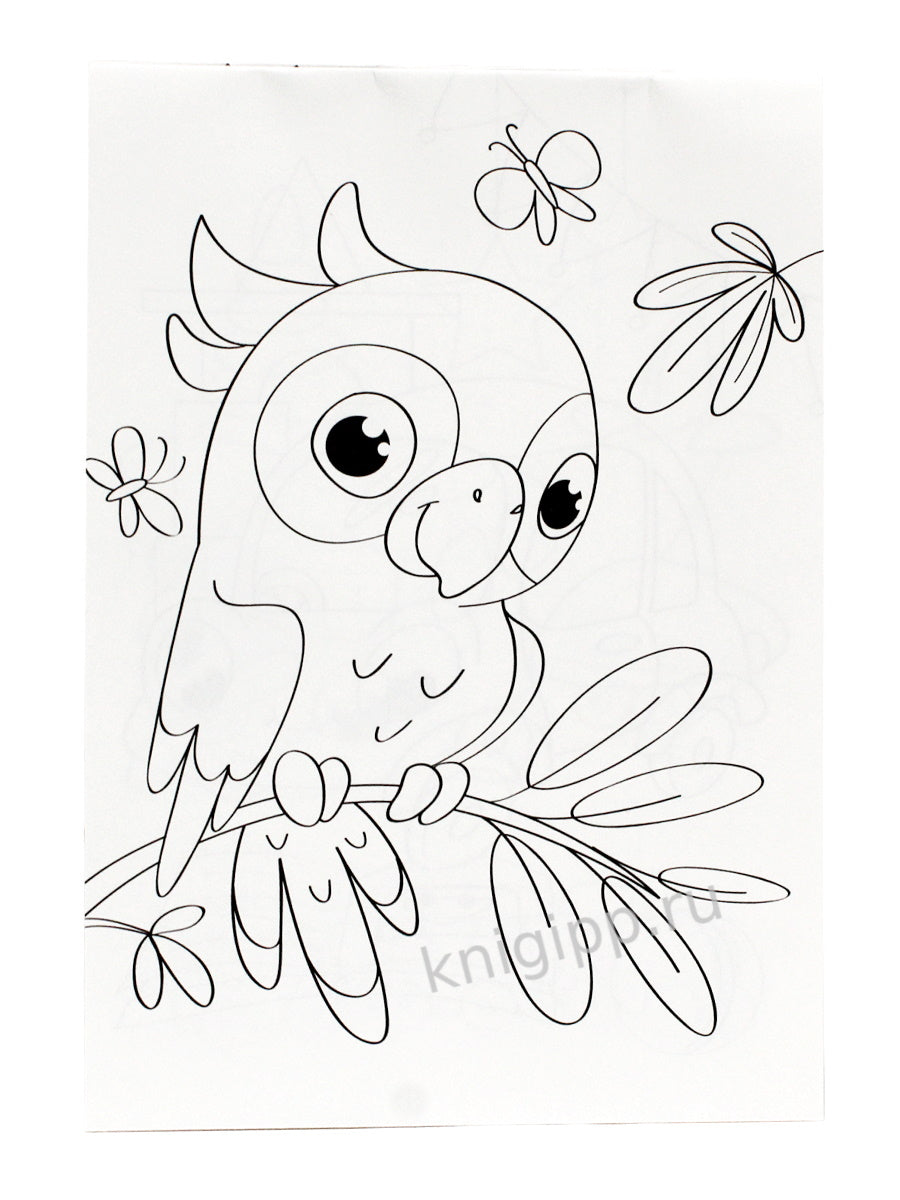 МИНИ-РАСКРАСКА А5 эконом. ПЕРВЫЕ КАРТИНКИ