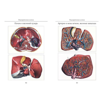 Атлас анатомии человека. Все органы человеческого тела. Grande collection