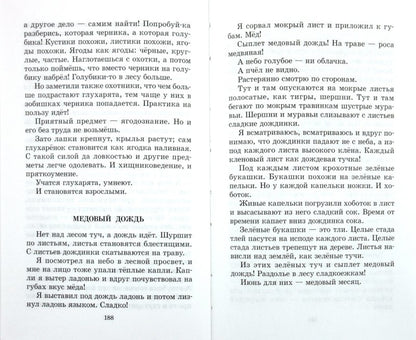 Лесные тайнички (зеленая)