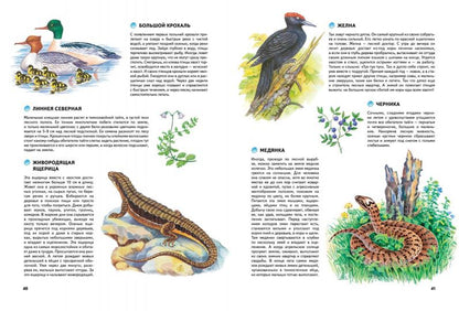 Природа России. Иллюстрированная энциклопедия