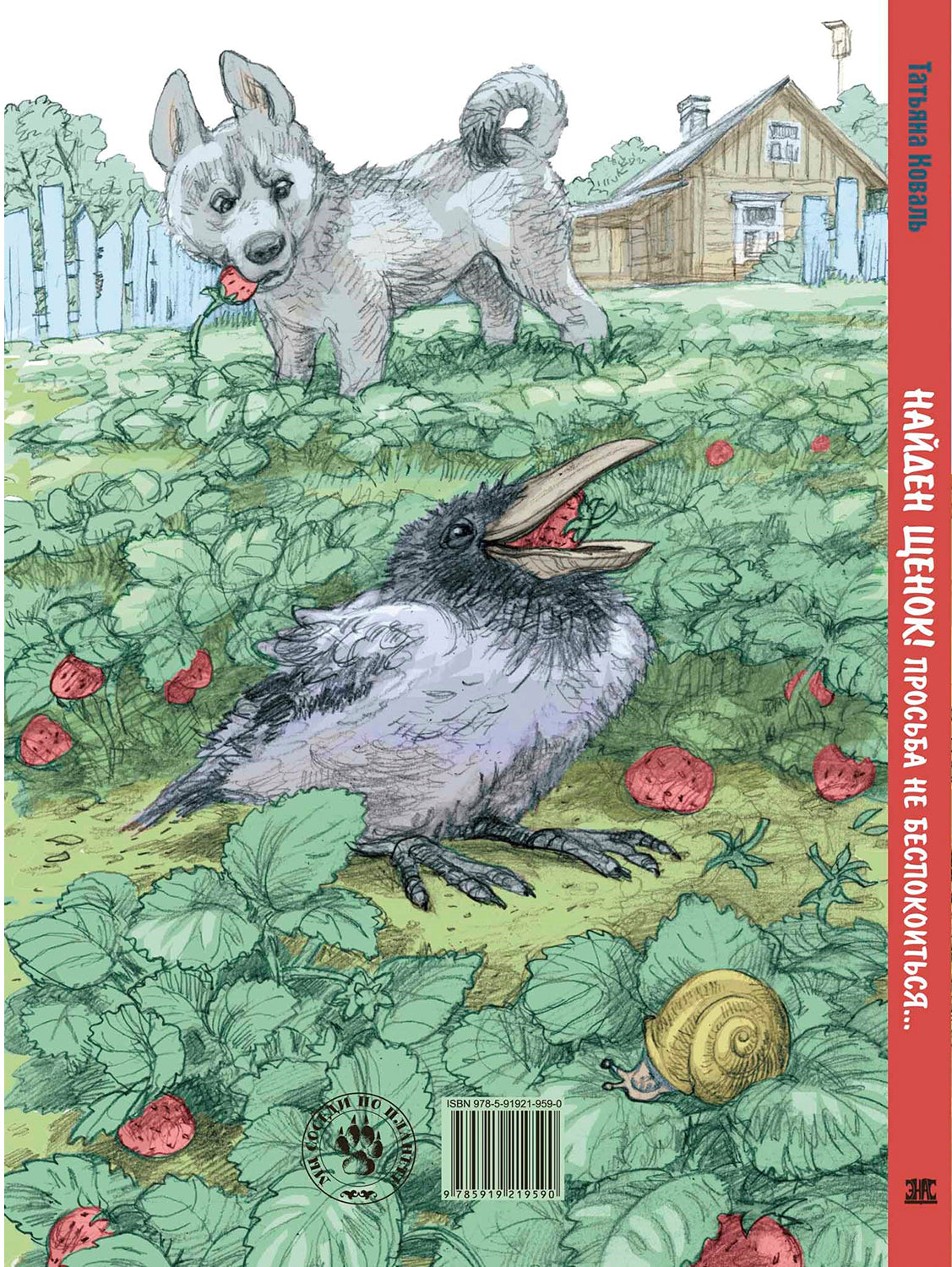 Найден щенок! Просьба не беспокоиться...