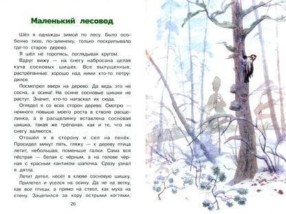 БШ. Пушок /Скребицкий Г. А.