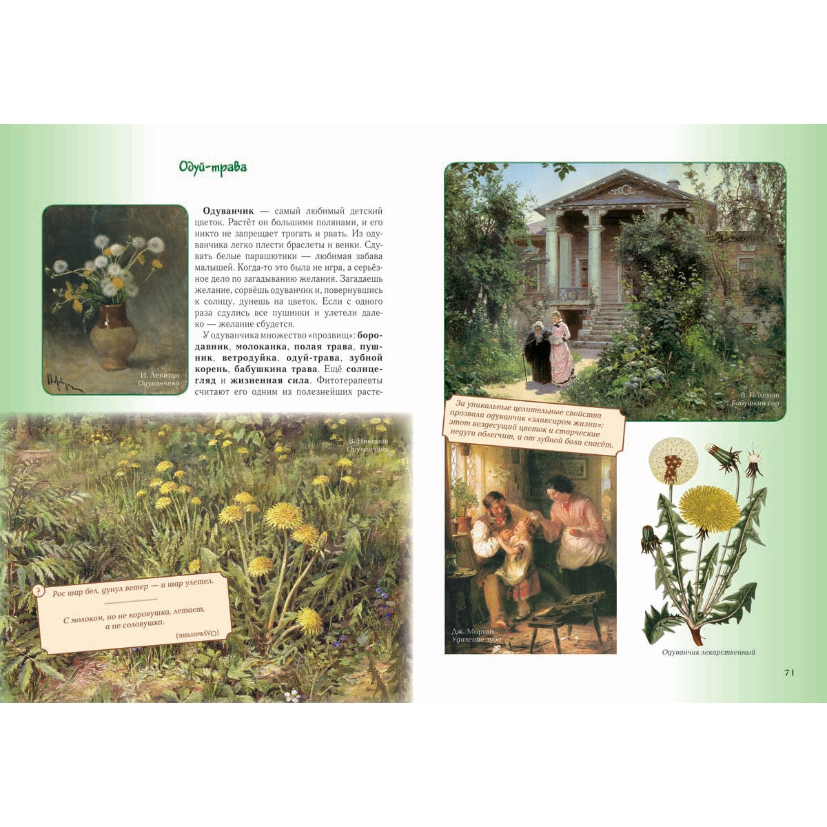 Детский травник