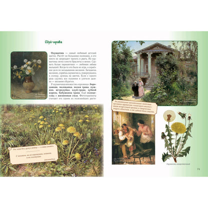 Детский травник