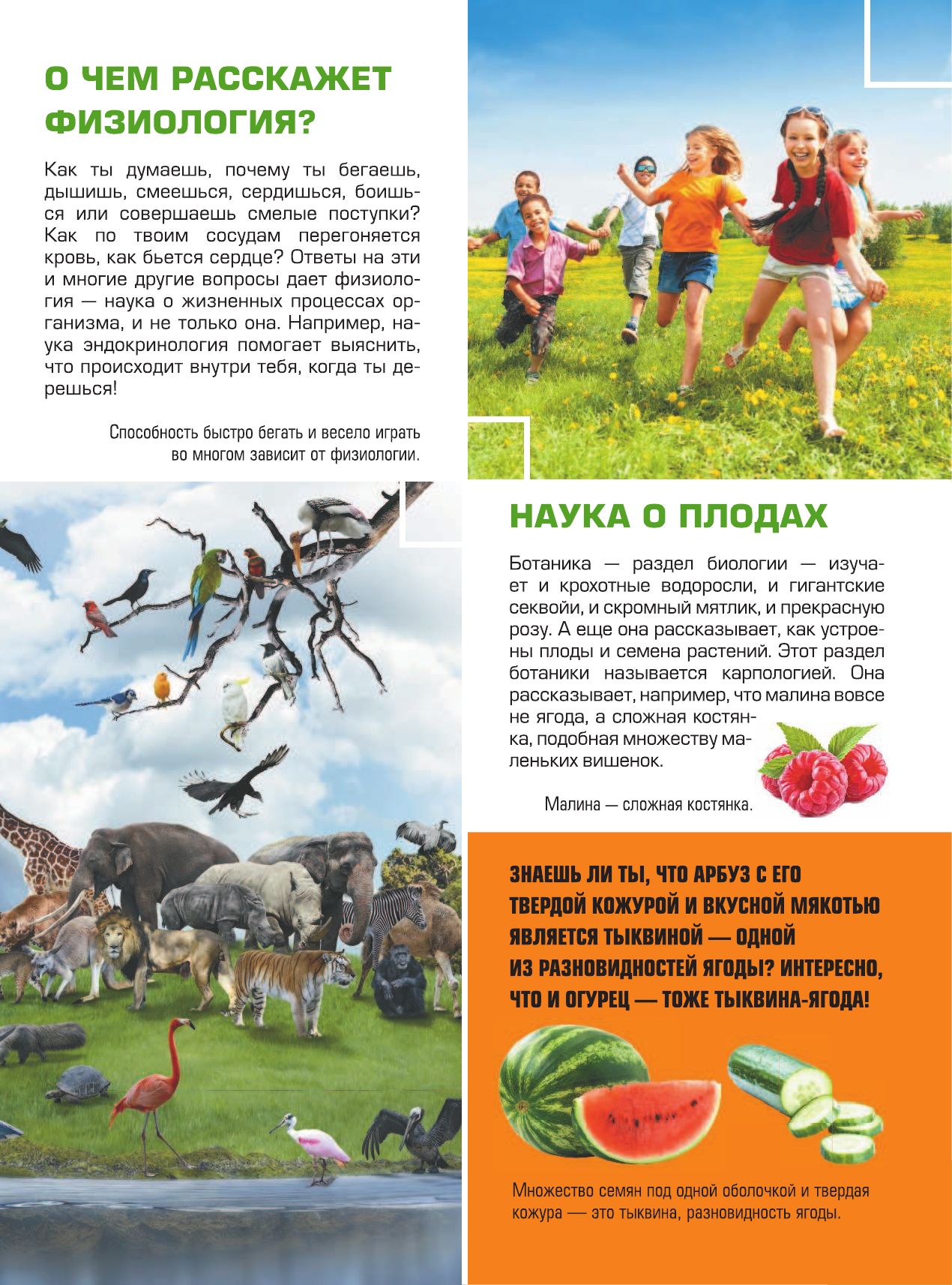 Большая детская 4D энциклопедия с дополненной реальностью