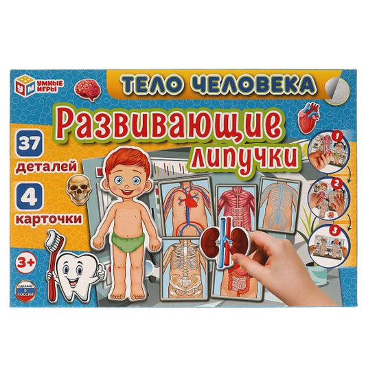 Тело человека. Игра с липучками в коробке. Умные игры в кор.20шт