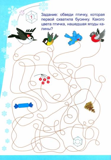 Зимушкина квест-игра с секретами: сборник развивающих заданий для детей 4-5 лет. 32 стр.