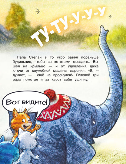 Зенюк. Цирк и не только