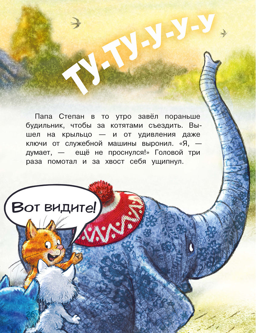 Зенюк. Цирк и не только