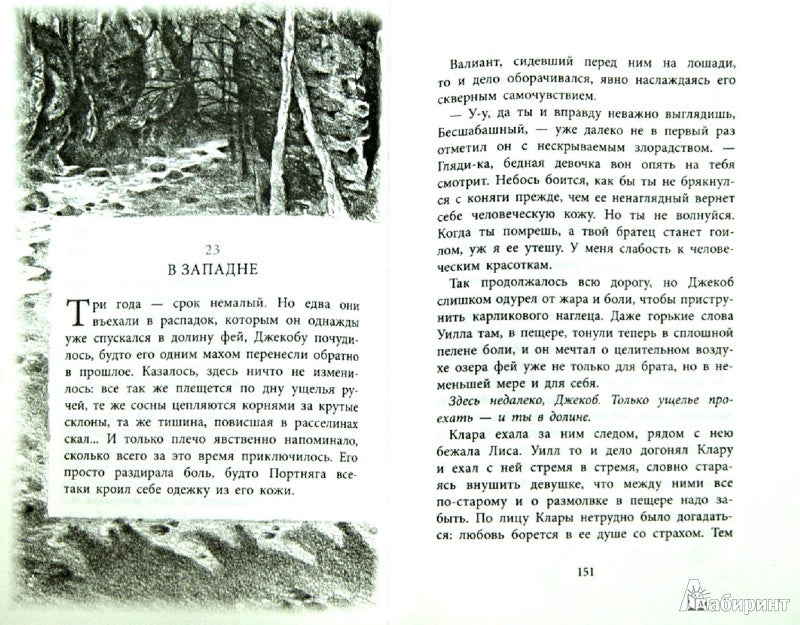 Бесшабашный. Книга 1. Камень во плоти