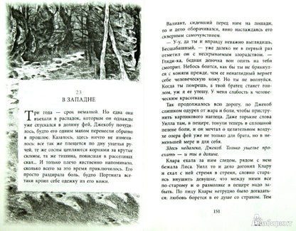 Бесшабашный. Книга 1. Камень во плоти