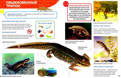 ПЕРВАЯ ДЕТСКАЯ ЭНЦИКЛОПЕДИЯ. ВСЁ О КРАСНОЙ КНИГЕ МАЛЫШАМ