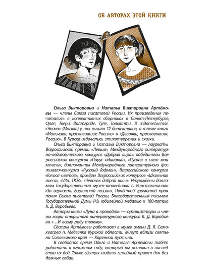 ЛМК Артемовы. Луна в проводах