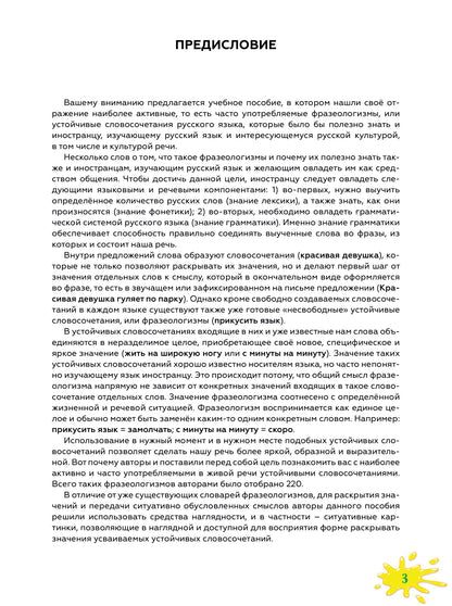 Что вы имеете в виду? Картинный словарь устойчивых словосочетаний русского языка