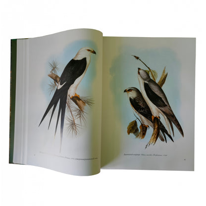 Птицы Европы