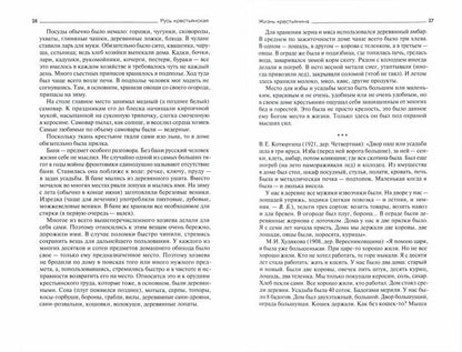 Русь крестьянская. Зримый мир русской деревни