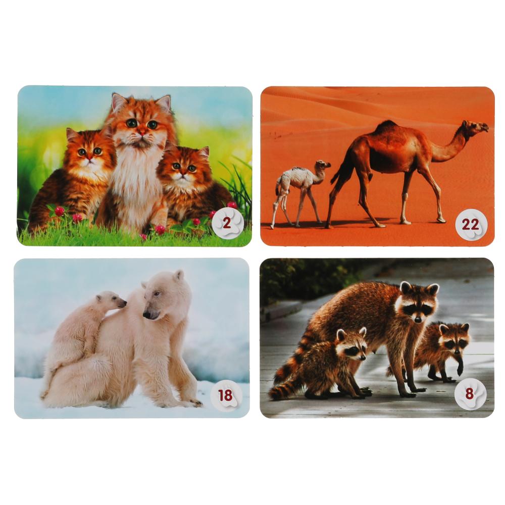 Mamans et petites filles. Carte du jeu Mémo. 50 cartes 65x95mm. Couleur: 125х170х40мм. Умные игры в кор.50шт