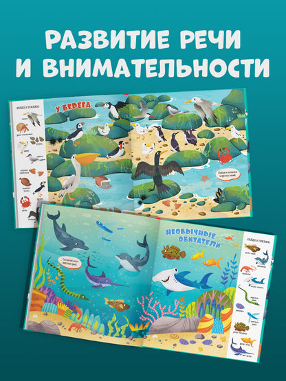 Найди и покажи, малыш. Найди и покажи, малыш. Океаны и моря/Нет а.