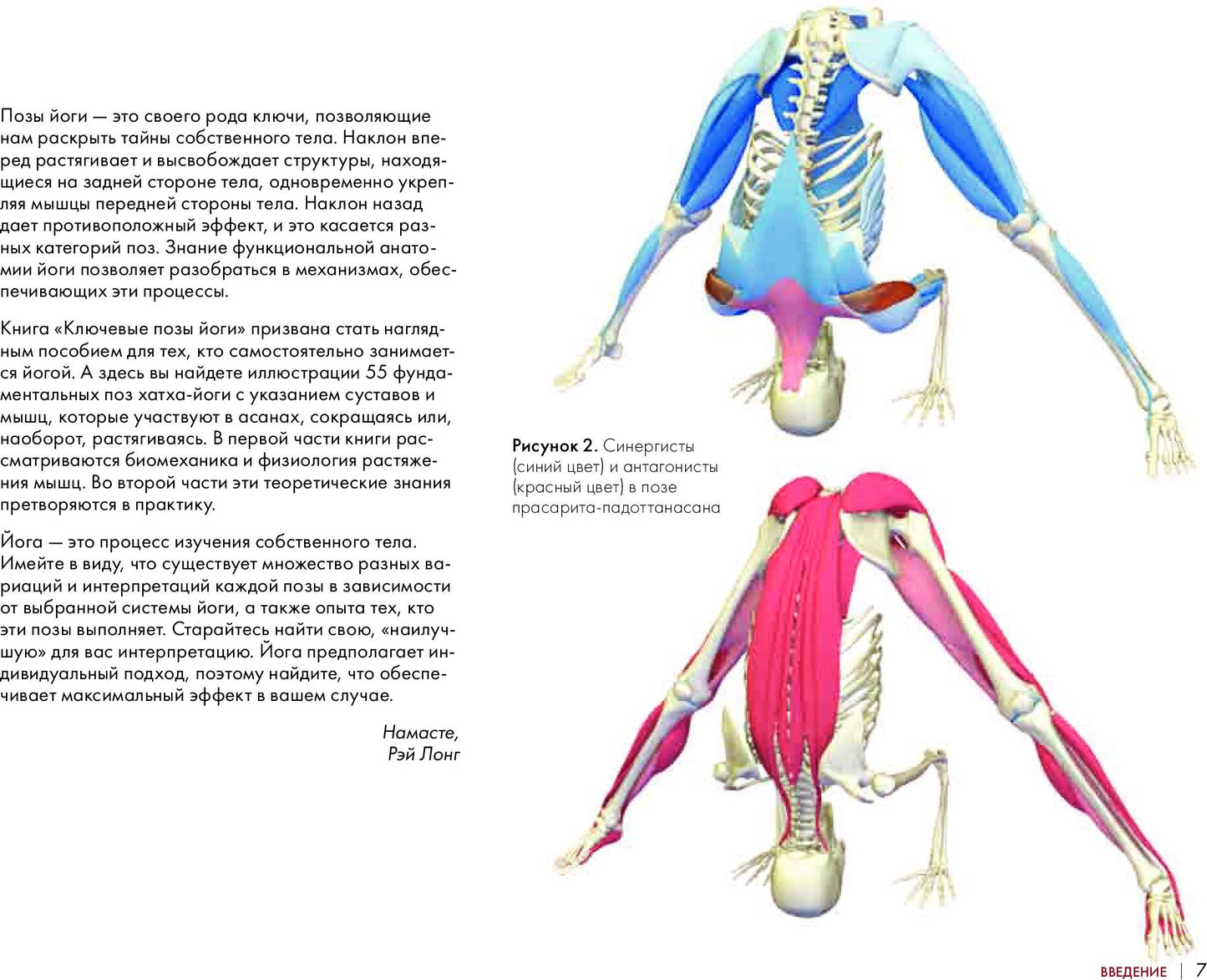 Ключевые позы йоги
