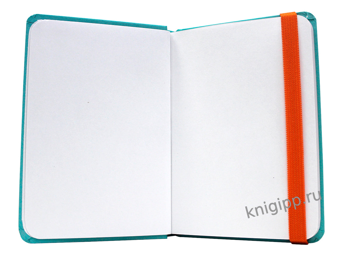 MyArt. Pocket СКЕТЧБУК. КАПИБАРА