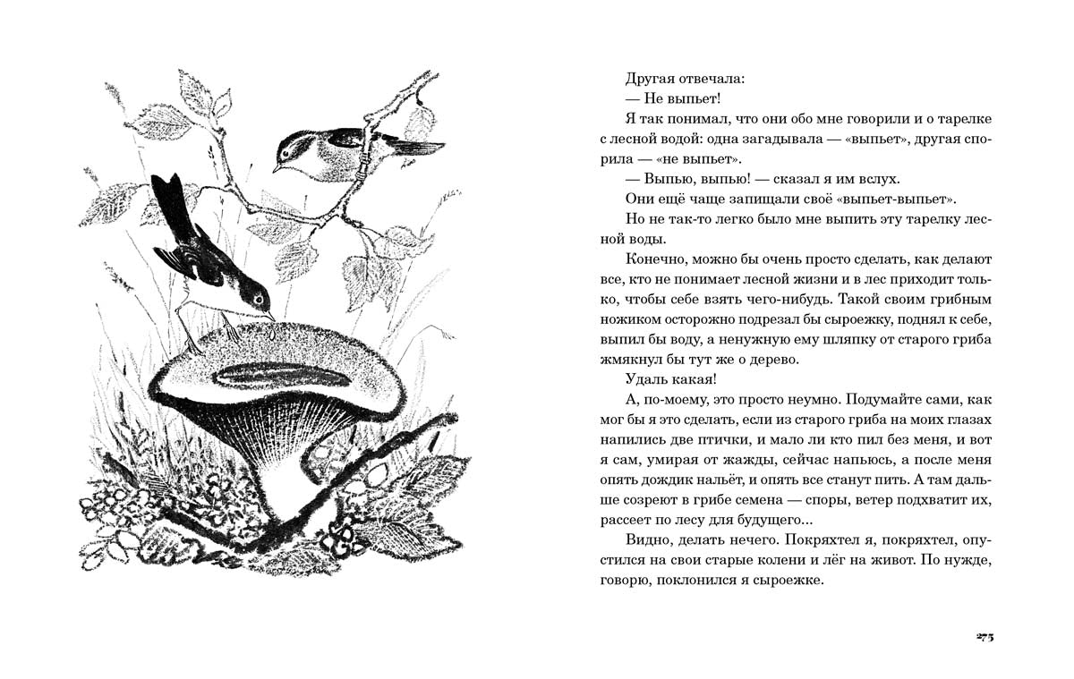 Золотой луг.