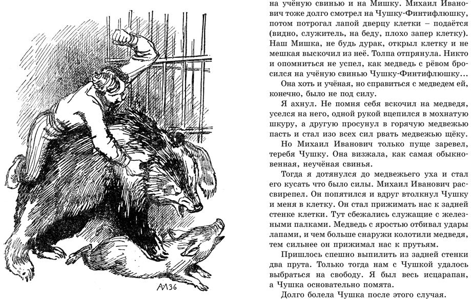 Мои звери