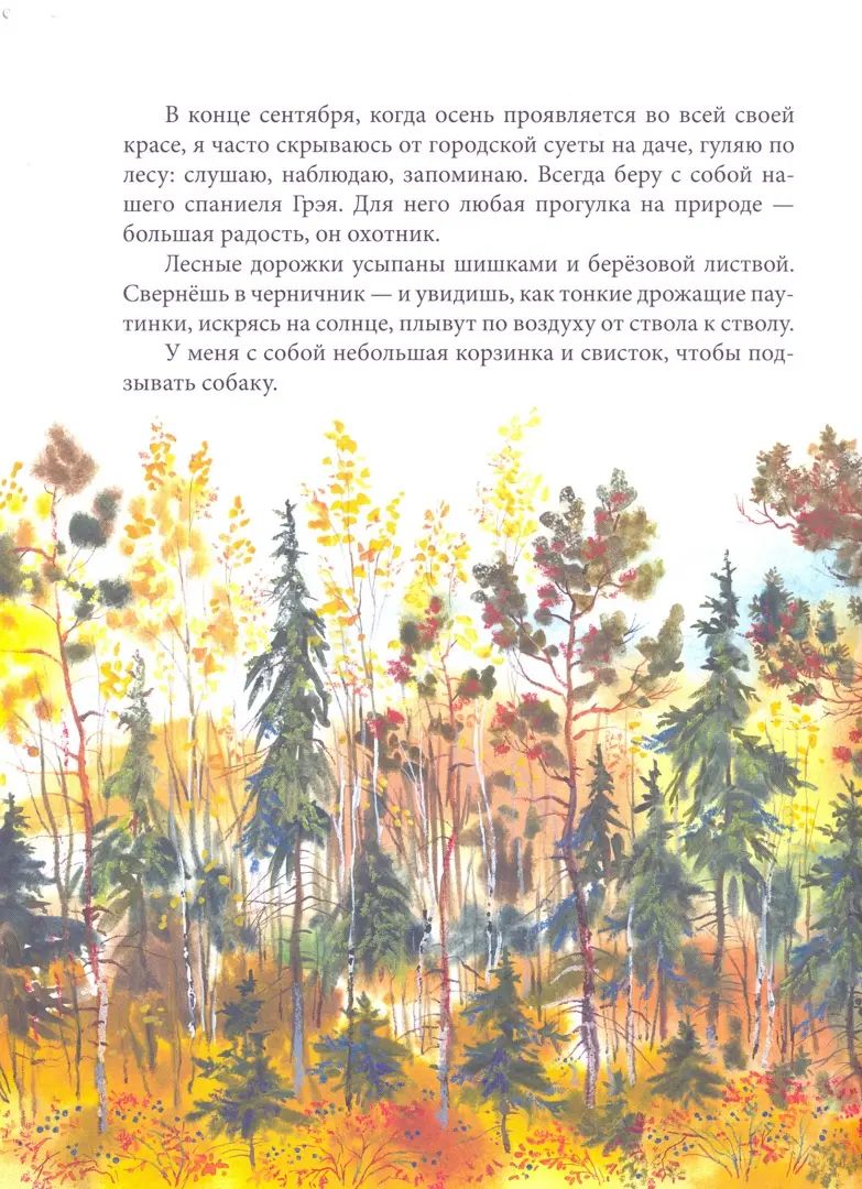 Тайны сентября. Илл. Автора