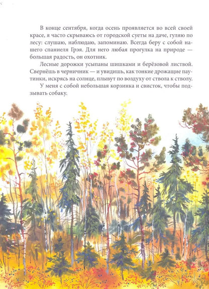 Тайны сентября. Илл. Автора