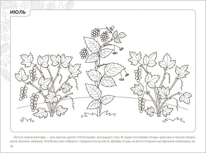 ФГОС Экологическое воспитание. Календарь сезонных наблюдений. 5-9 лет. Парциальная программа «Юный эколог»