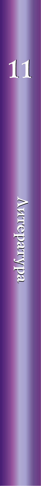 Литература. 11 класс. Учебник.