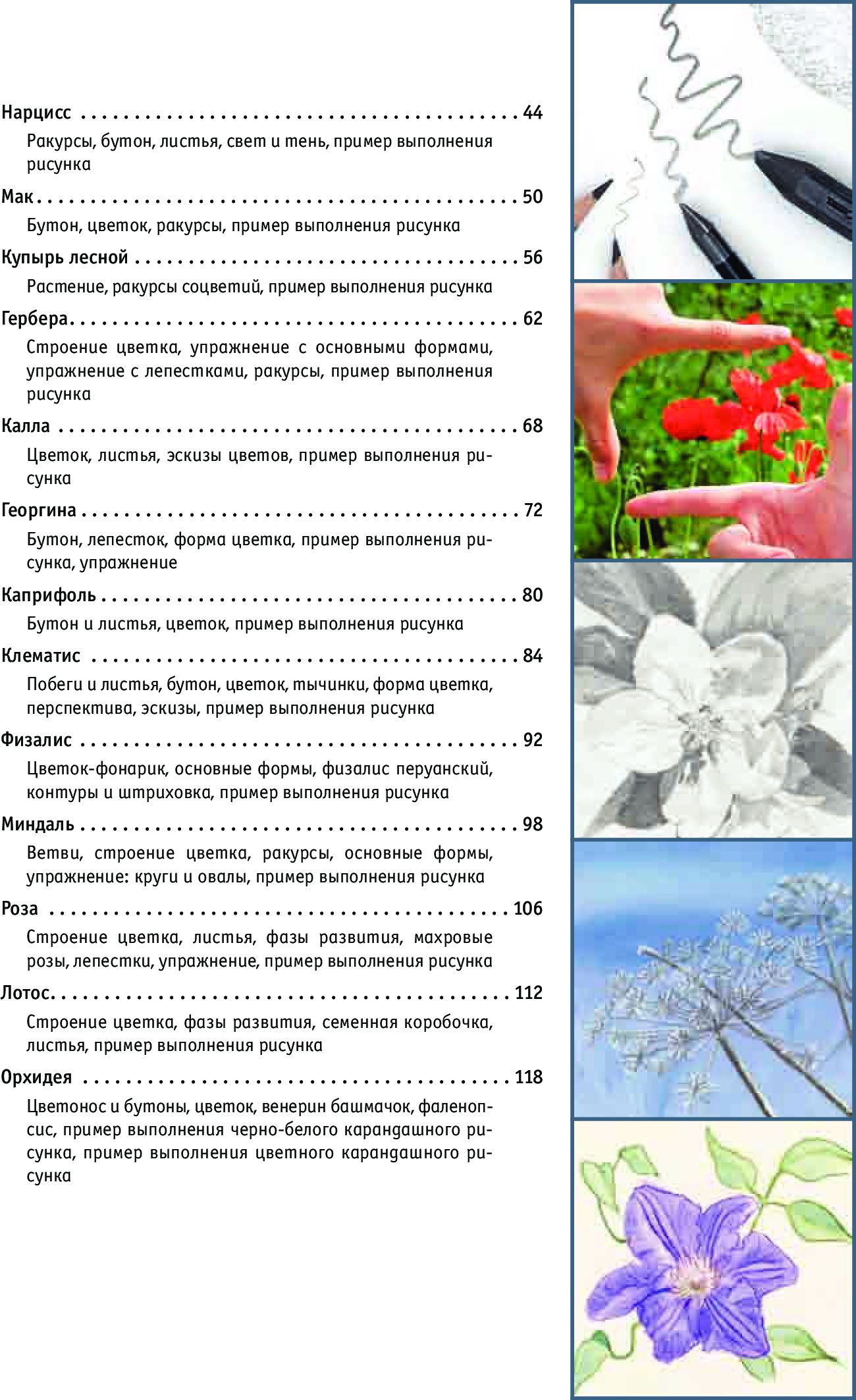 Рисование цветов от бутона до листьев